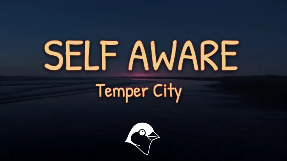 Understanding Self Aware Lyrics: A Deep Dive into Temper City's 'Self Aware'